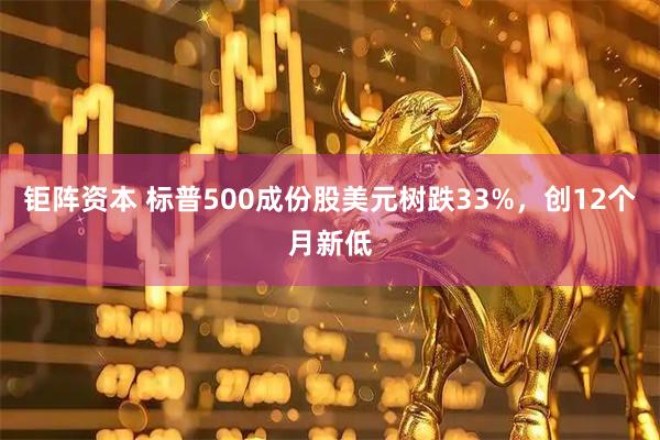 钜阵资本 标普500成份股美元树跌33%，创12个月新低