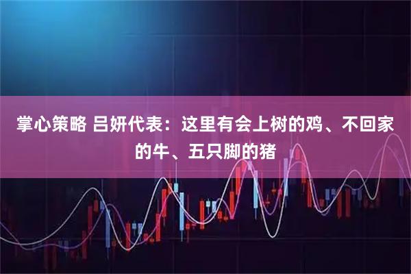 掌心策略 吕妍代表：这里有会上树的鸡、不回家的牛、五只脚的猪