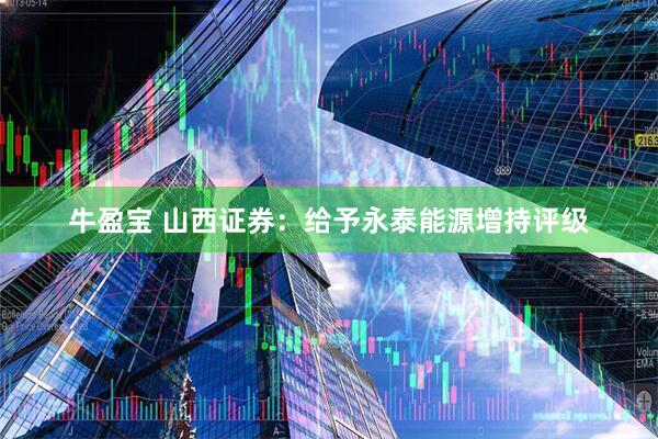 牛盈宝 山西证券：给予永泰能源增持评级